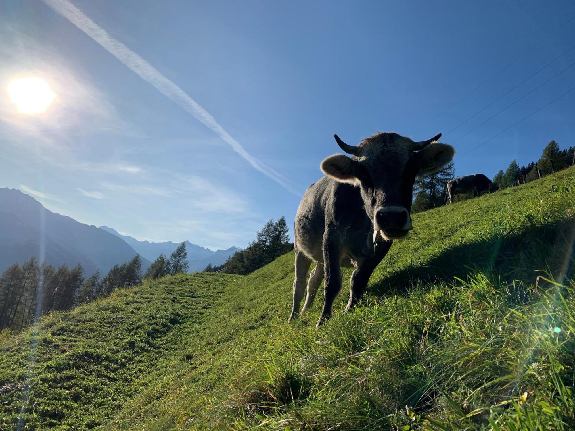 Chalet Leitn-Anger St. Leonhard in Passeier Exterior foto